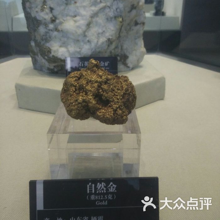 山东省地质博物馆