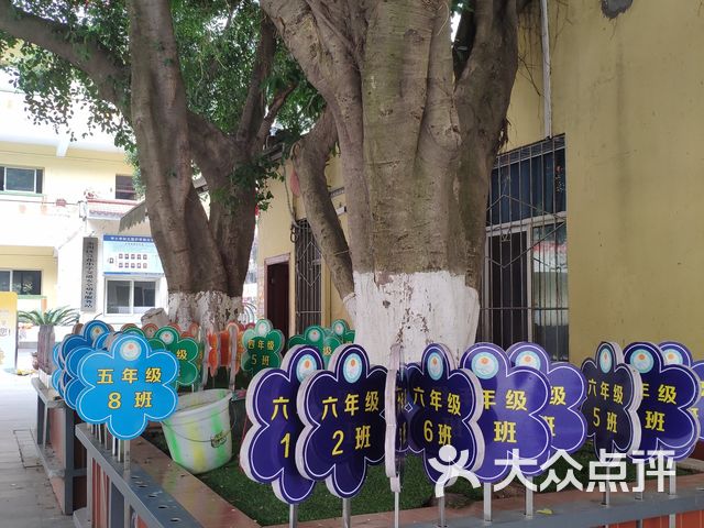 萱花小学