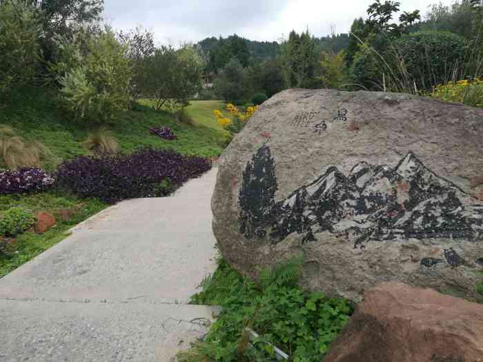 美朵鸟山·bird hill-"【环境】 绿树成荫,草丛,各类绿植和小.