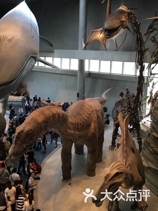 上海自然博物馆(静安新馆)恐龙模型图片 第9张