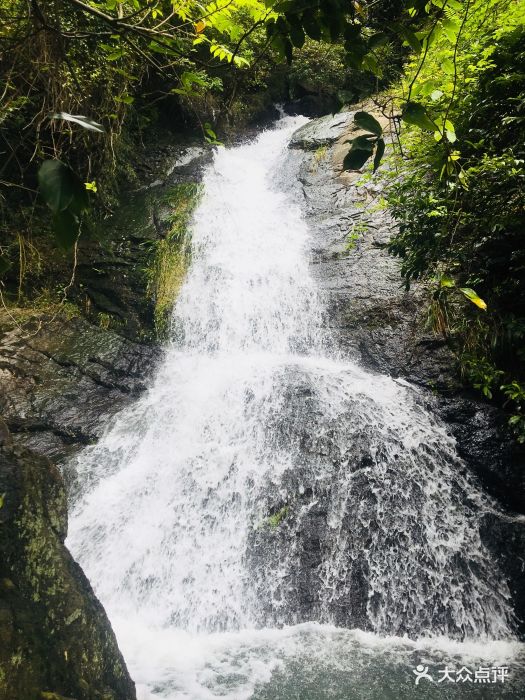 九龙源风景区图片