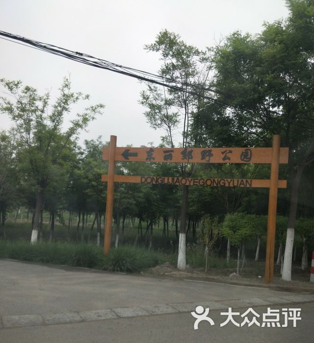 东丽郊野公园图片 - 第1张