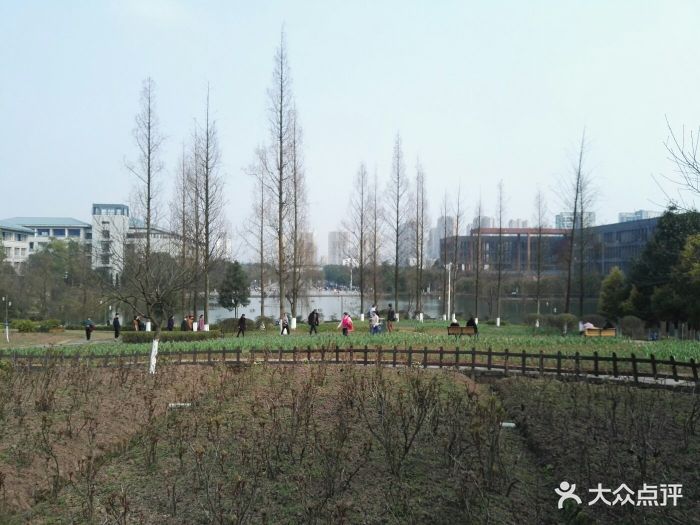 重庆大学(虎溪校区)图片