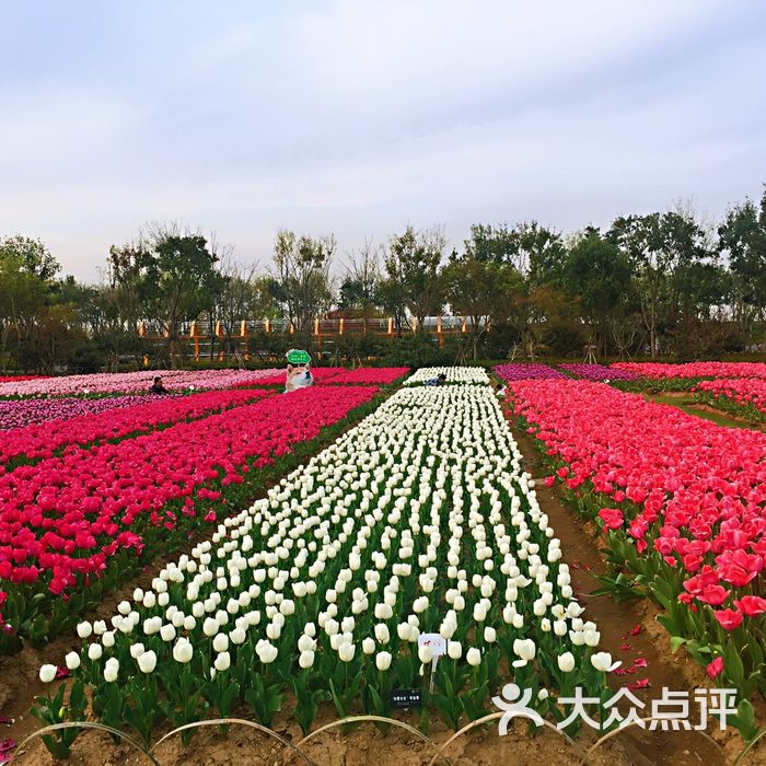 宁波植物园