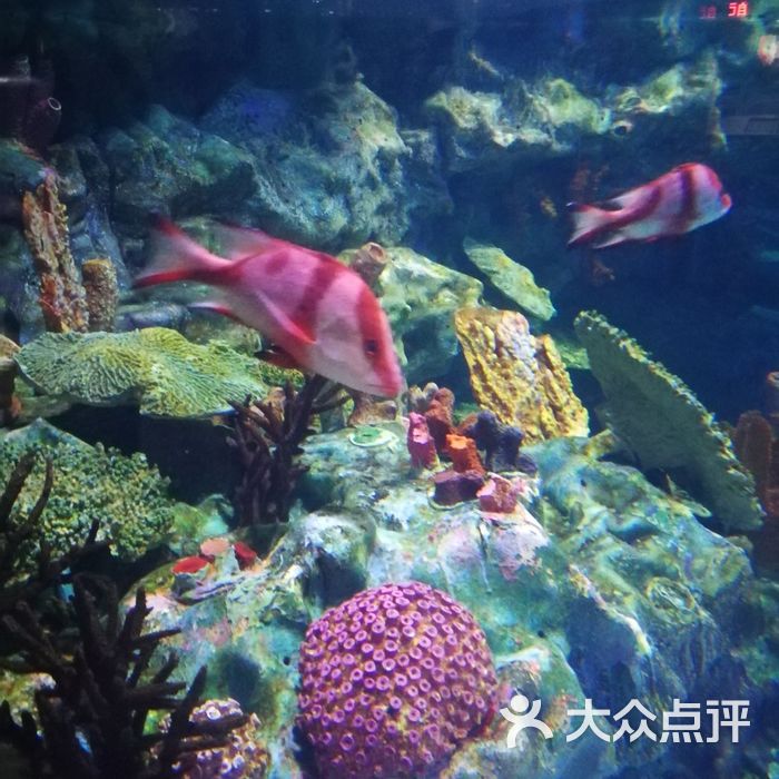 成都海昌极地海洋公园