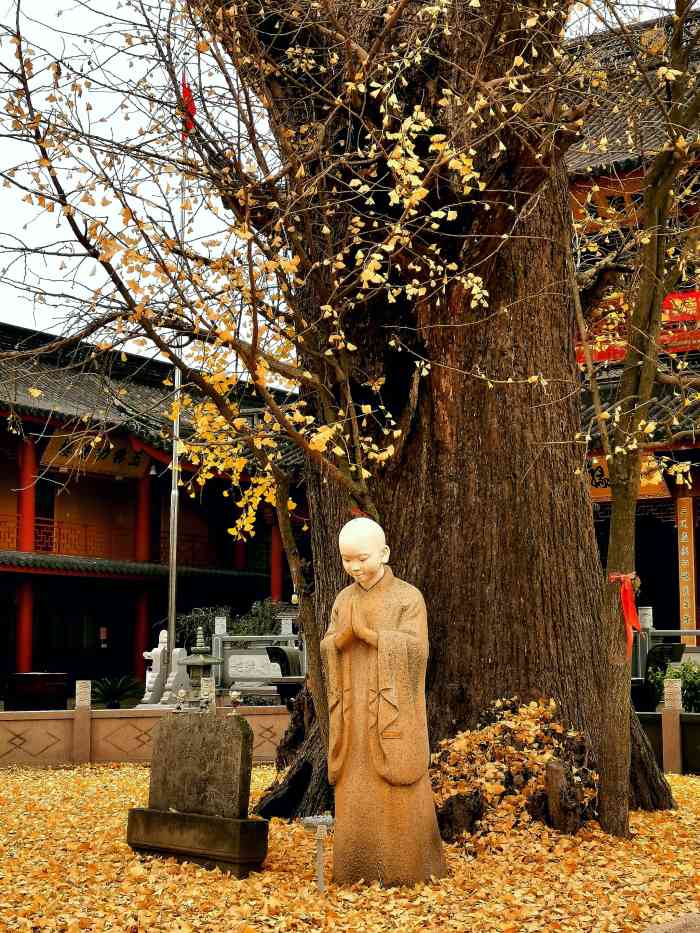 报国寺-般若-"报国寺,位于上海市青浦区朱家角镇淀峰.