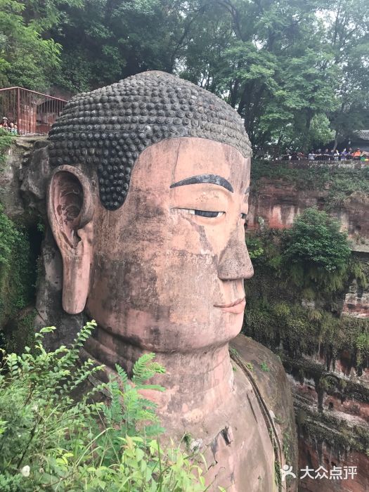 乐山大佛景区图片