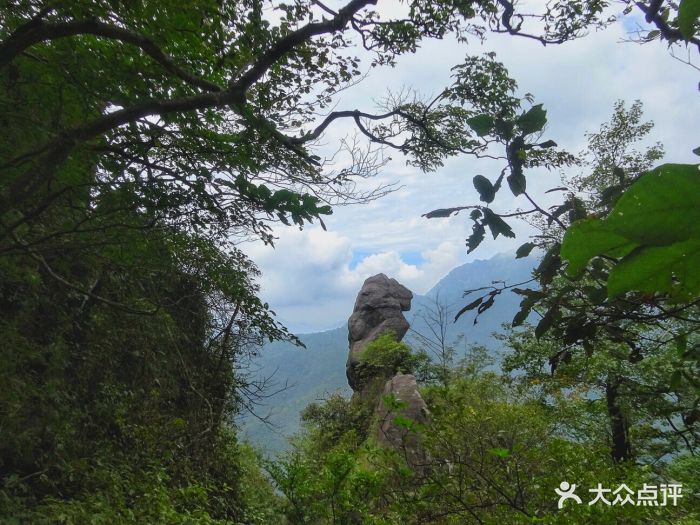 神雾山风景区-图片-武宁县周边游-大众点评网