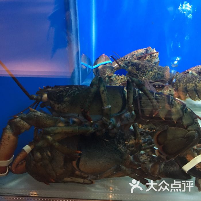 珍宝海鲜jumbo seafood(北京skp店)图片 - 第5张