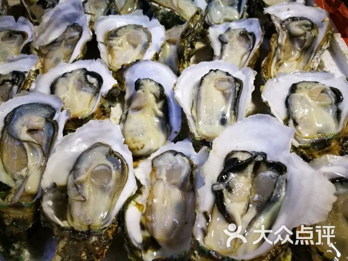 湛江仔烧烤生蚝图片 第5张