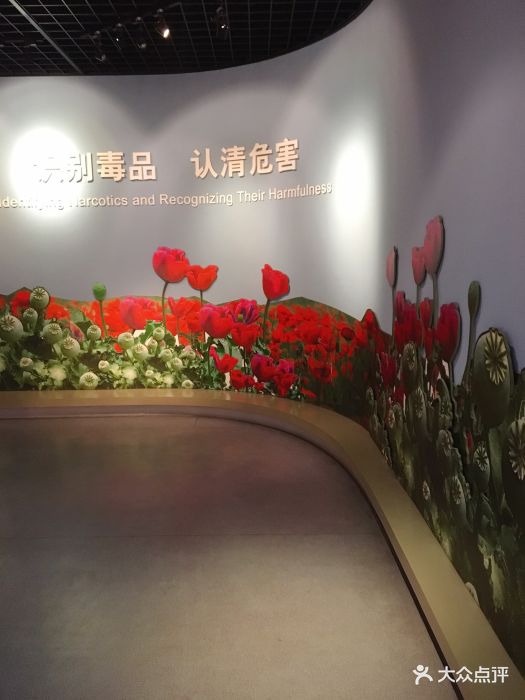 江苏禁毒展览馆图片 第2张