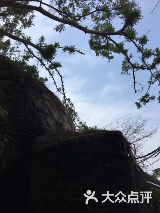 云顶岩寺-图片-厦门周边游-大众点评网