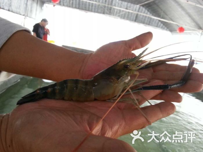 红棉钓虾场