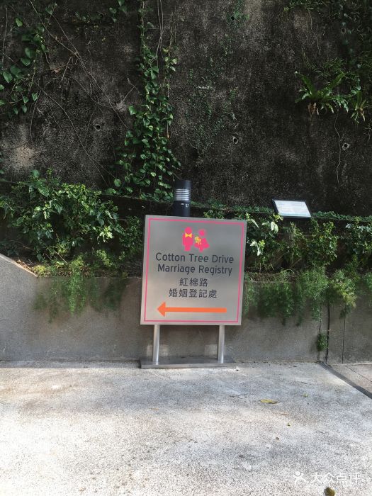 红棉路香港公园临近金钟地铁站。此园有模拟