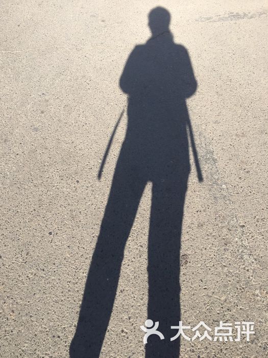 成都旅游集散中心-图片-成都生活服务-大众点评