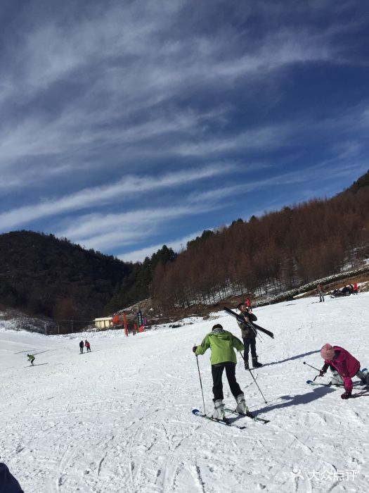 神农架国际滑雪场图片 第666张
