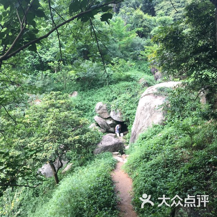 龙头山森林公园