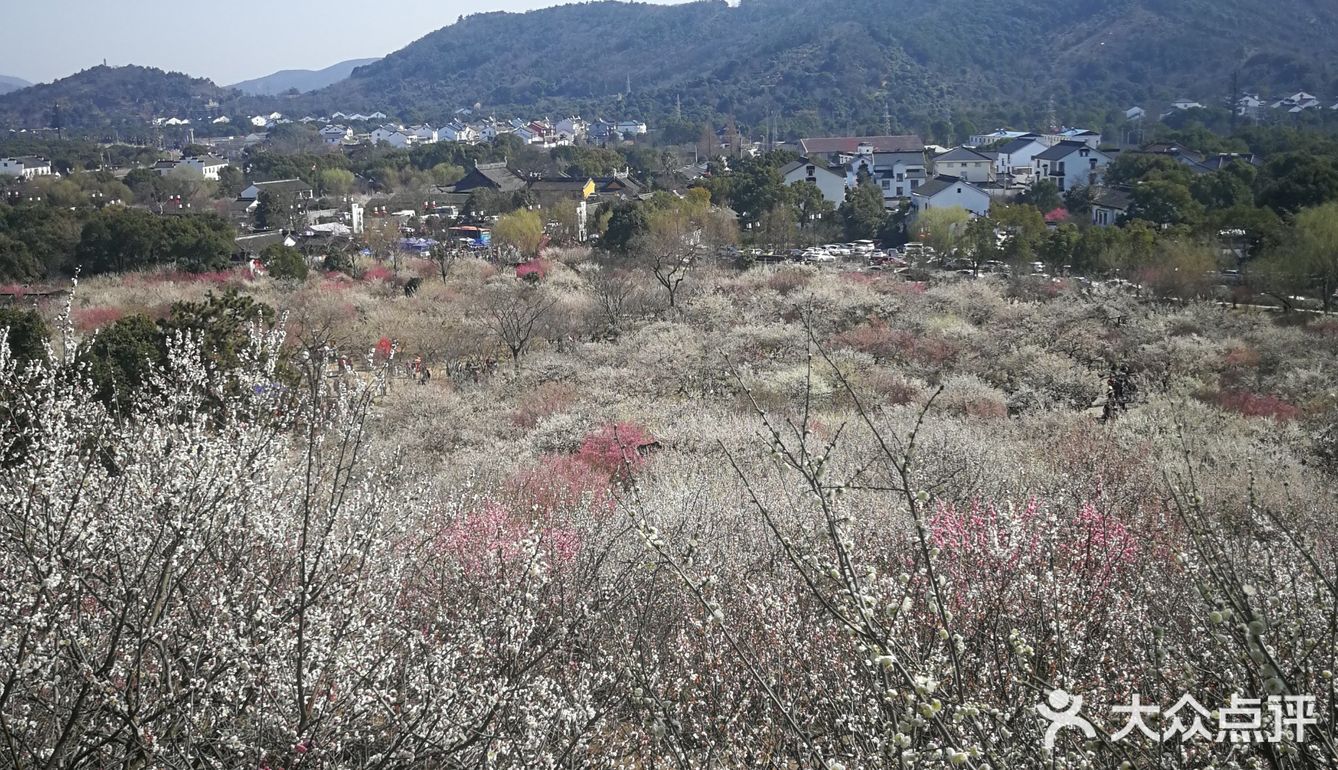 光福香雪海