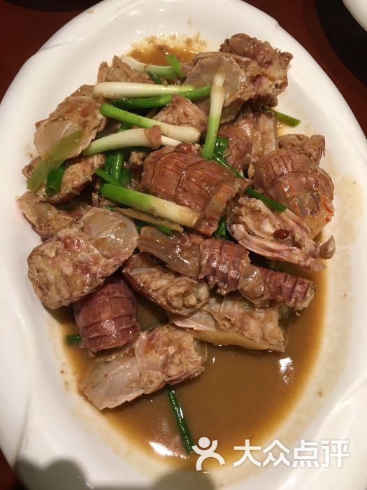 海口金海岸罗顿大酒店_金海岸小学羽毛球馆_金海岸海鲜食府
