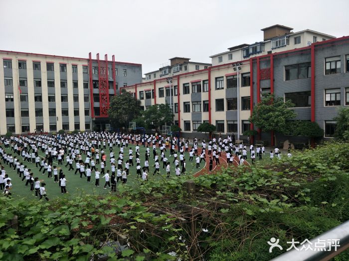 大东区白塔小学图片
