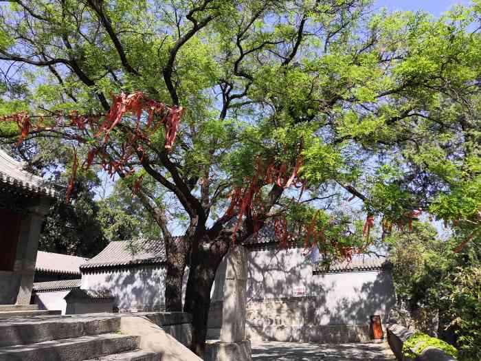 碧霞元君庙"石景山古建筑群位于首钢厂区内,石景山的半.