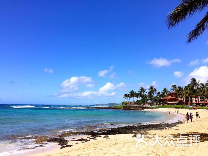 poipu beach park-图片-夏威夷州景点-大众点评网