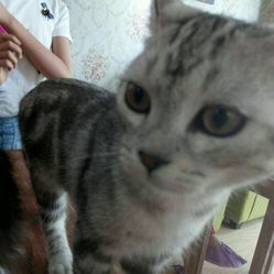 6JY-NBBjAcNLs8FXPpdYUnhI7kiMsyrBl11QefPq9raJnJeEBTbmMVWW6d-43xhFF5u7J_jS4MuCaeLAHD0KTg.jpg