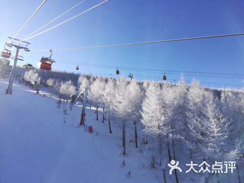 密苑云顶乐园(云顶滑雪场)图片 第3张