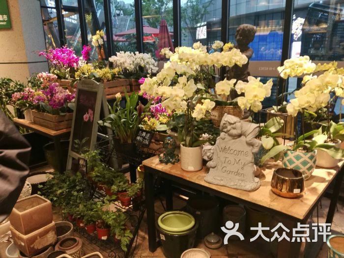 都市花乡(德思勤店)图片 第4张