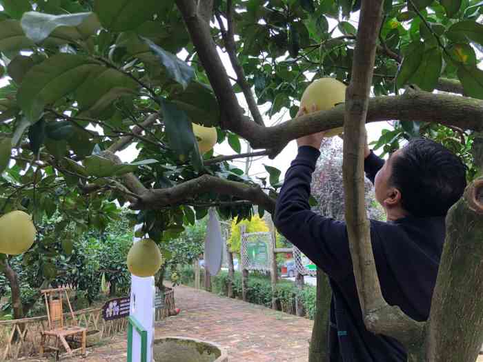 柚香园休闲山庄"附近有不少类似的农家乐,集休闲娱乐餐饮于.