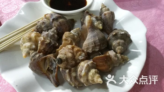 白灼海螺