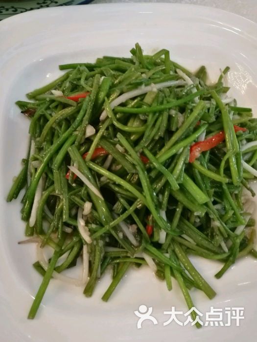 洱海海菜