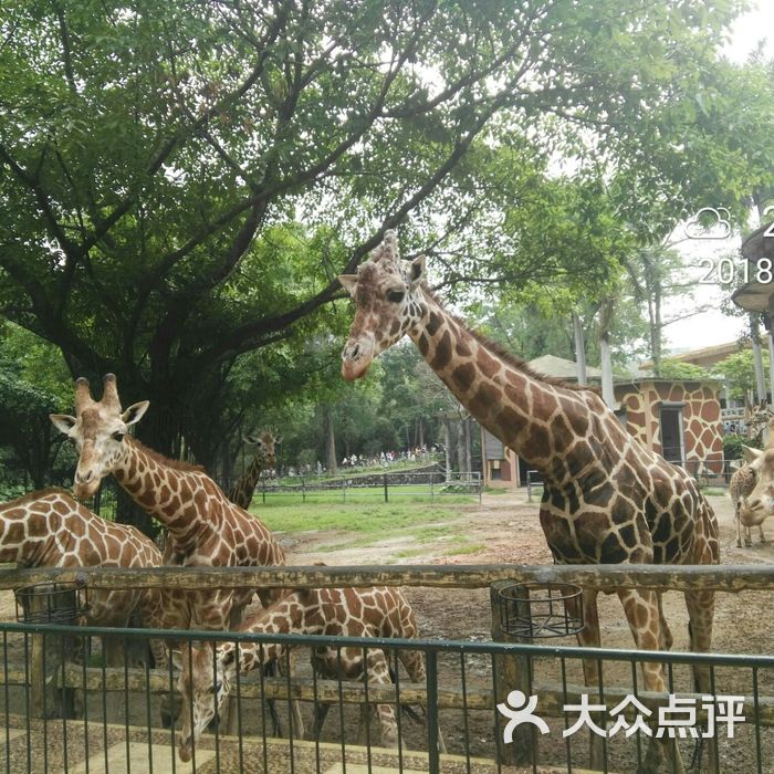 广州动物园