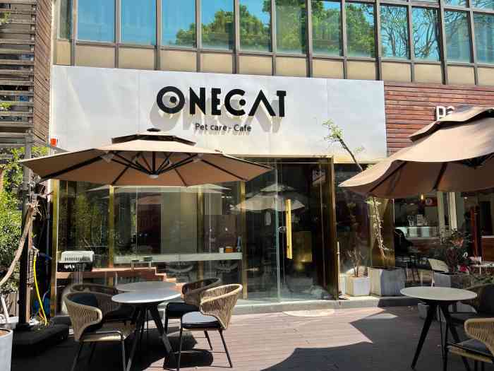 one cat壹猫(天域店)-"【项目】其他过来撸猫,就在的.