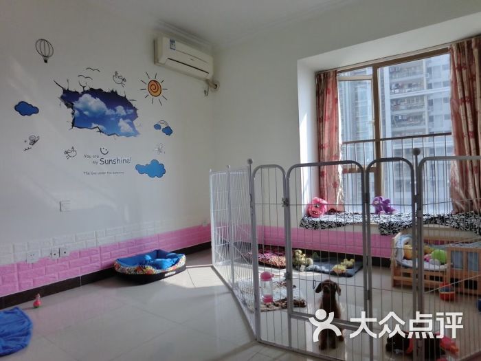 baby pet宠物美容寄养工作室狗狗独立房图片 - 第187张