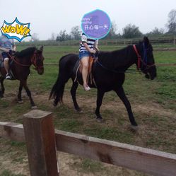 6QsbmW5vVANstHaU1gkd0inh-xm-lU-U3teJTA8YBwZxExsHnxy2lhRMVElMNRC5F5u7J_jS4MuCaeLAHD0KTg.jpg