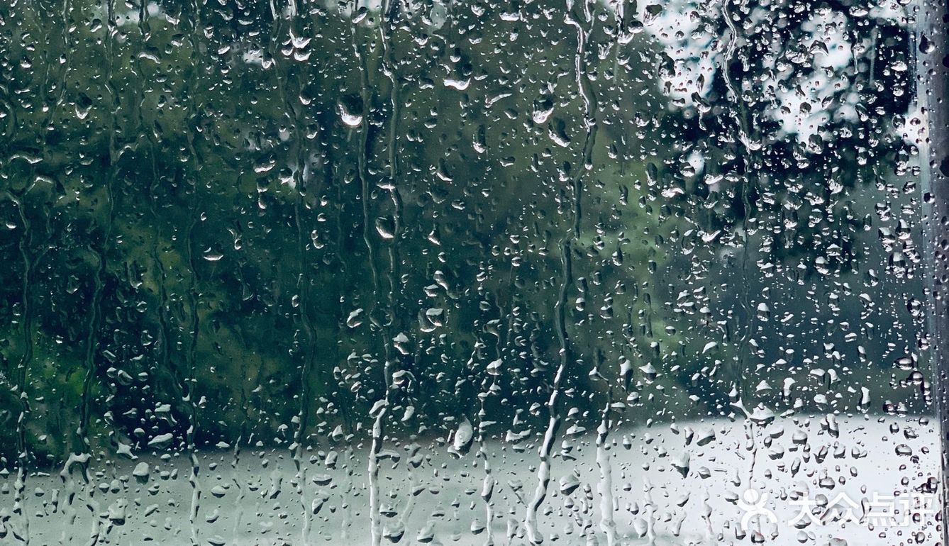 夏天去的西溪湿地,碰到一场酣畅淋漓的大雨,但是雨中的