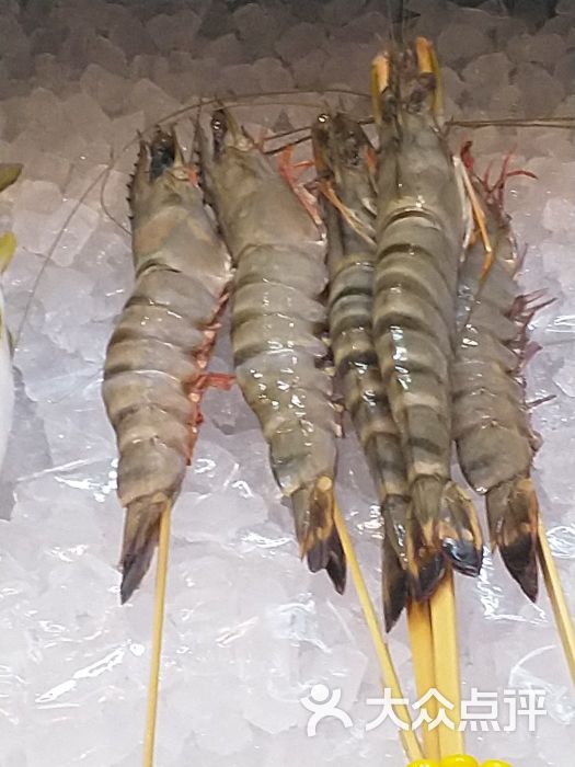黑潮市场虎虾图片 - 第12张