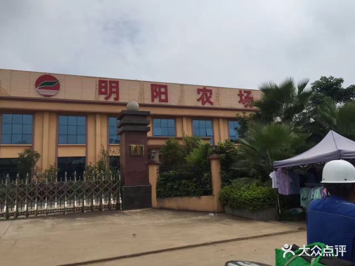 明阳农场向阳队-图片-南宁休闲娱乐-大众点评网