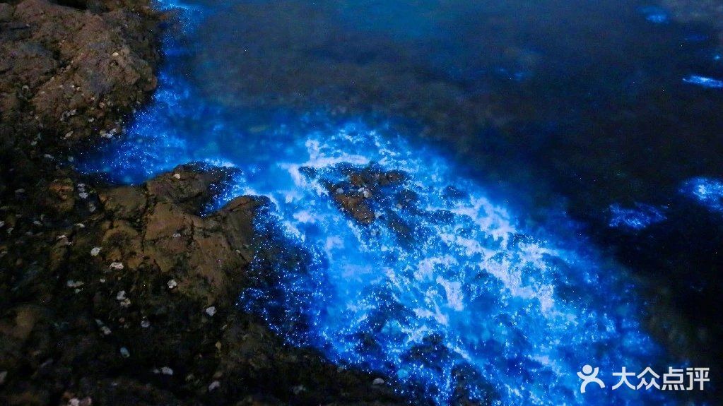 大黑石荧光海滩图片