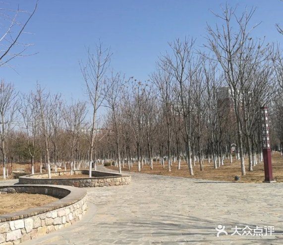 来到该公园看到,该公园的大门"马坡千亩森林公园"几