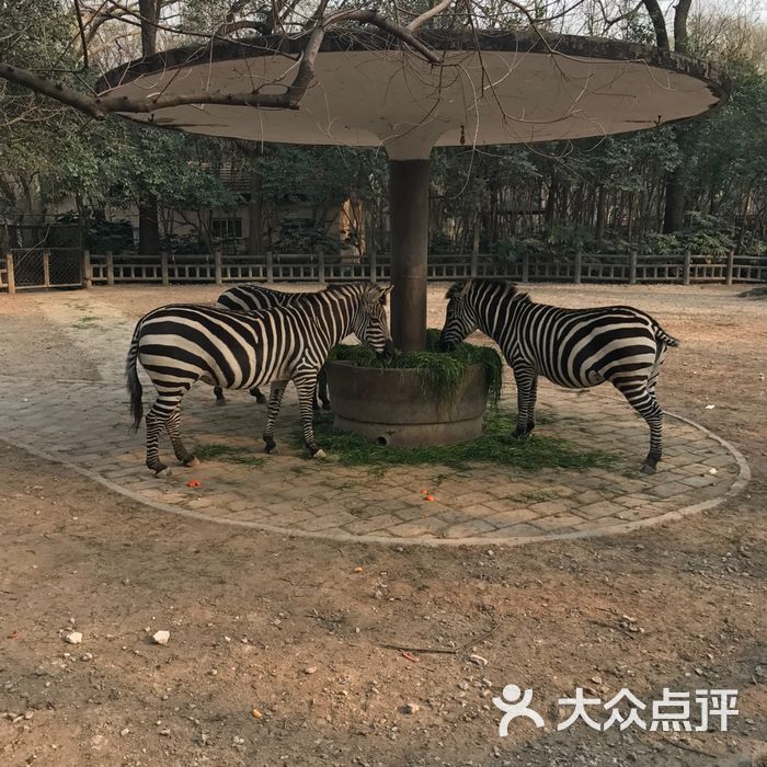 上海动物园