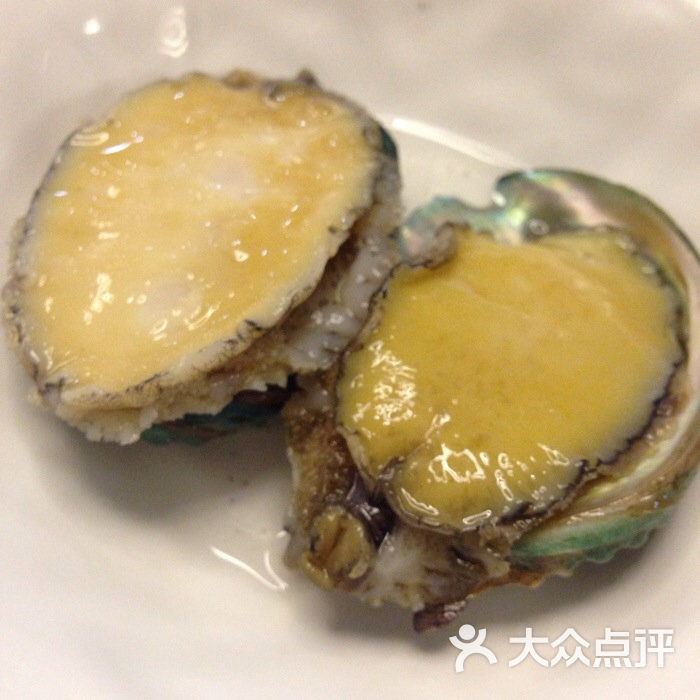 海鲜贝壳图片大全_海鲜贝壳样子_海鲜贝壳图片(4)