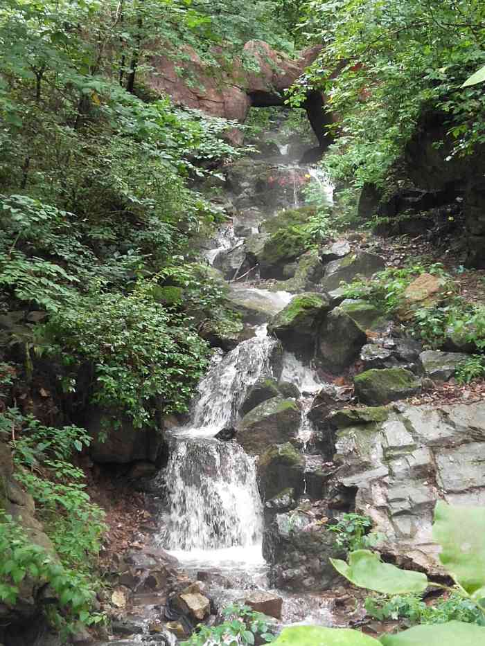 天女山森林公园-"天女山风景区位于抚顺县马圈子乡村