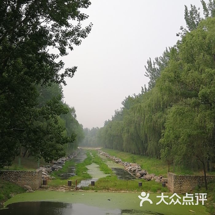 汉石桥湿地公园