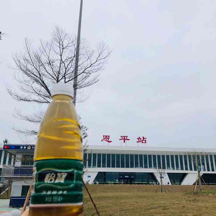 恩平站"恩平高铁08站 作为这两年链接珠三角最-大众点评移动版