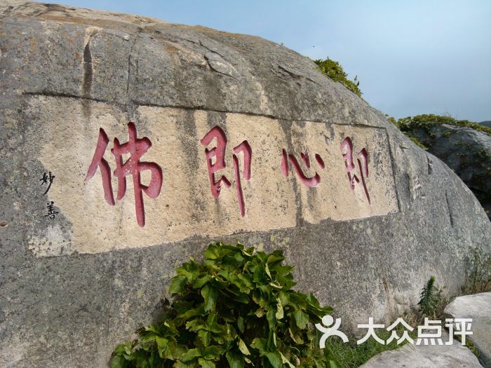 普陀山不肯去观音院图片 - 第3张