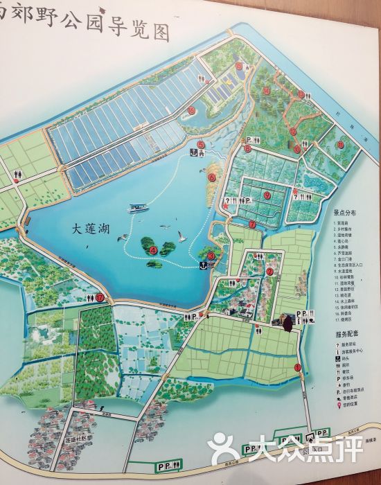 青西郊野公园图片 - 第5张