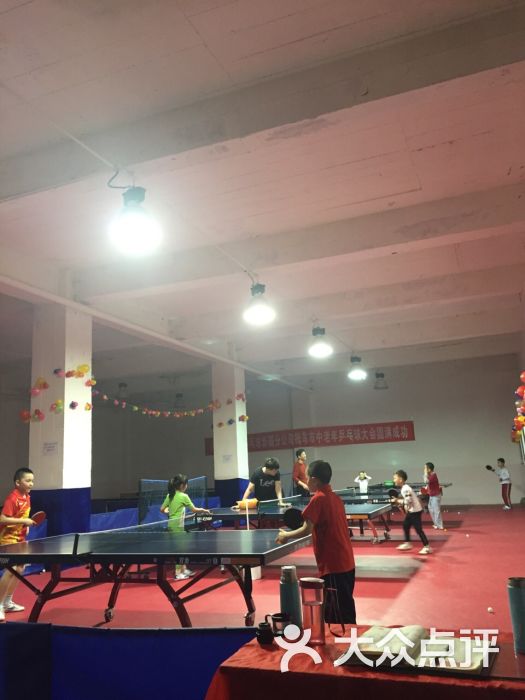 欣逸杰乒乓球俱乐部-图片-乌鲁木齐运动健身
