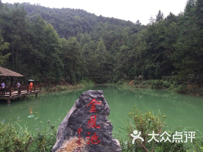 九凤山生态旅游区-图片-重庆景点